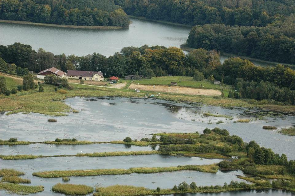 Villa Stajnia Grazyny Mikorowo 46 à Czarna Dabrowka Extérieur photo